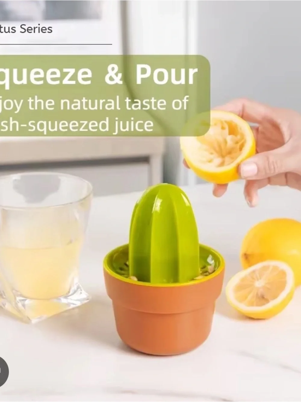 Joie Cactus Citrus Juicer - Lime Green & Terracotta